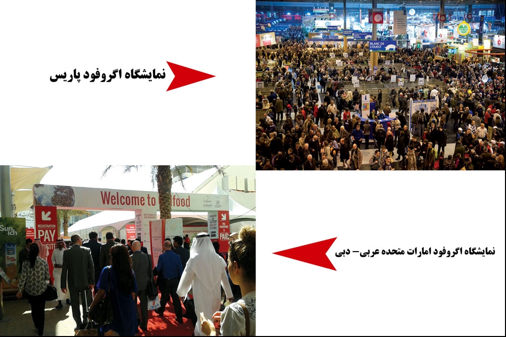 9ee634a2 1180 468b 8737 0cfe07e8bc61 4